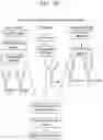 Fig. 05 - MODULATING ANTIBODY EFFECTOR FUNCTIONS