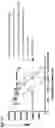 Fig. 10 - METHODS AND USES OF VARIANT CD80 FUSION PROTEINS AND RELATED CONSTRUCTS