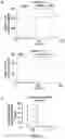 Fig. 03 - BTLA ANTIBODIES