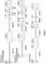 Fig. 06 - BTLA ANTIBODIES