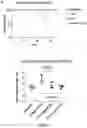 Fig. 10 - BTLA ANTIBODIES