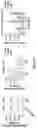 Fig. 13 - BTLA ANTIBODIES