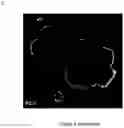 Fig. 06 - INTEGRIN ALPHA10 AND AGGRESSIVE CANCER FORMS