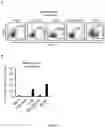 Fig. 07 - INTEGRIN ALPHA10 AND AGGRESSIVE CANCER FORMS