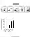 Fig. 08 - INTEGRIN ALPHA10 AND AGGRESSIVE CANCER FORMS