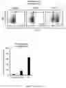 Fig. 10 - INTEGRIN ALPHA10 AND AGGRESSIVE CANCER FORMS