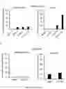 Fig. 11 - INTEGRIN ALPHA10 AND AGGRESSIVE CANCER FORMS