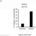 Fig. 12 - INTEGRIN ALPHA10 AND AGGRESSIVE CANCER FORMS