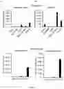 Fig. 13 - INTEGRIN ALPHA10 AND AGGRESSIVE CANCER FORMS