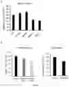 Fig. 20 - INTEGRIN ALPHA10 AND AGGRESSIVE CANCER FORMS