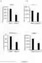 Fig. 22 - INTEGRIN ALPHA10 AND AGGRESSIVE CANCER FORMS
