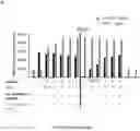 Fig. 26 - INTEGRIN ALPHA10 AND AGGRESSIVE CANCER FORMS