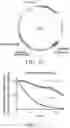 Fig. 03 - Artificial cell death polypeptide for chimeric antigen receptor and uses thereof