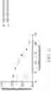 Fig. 22 - Artificial cell death polypeptide for chimeric antigen receptor and uses thereof