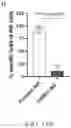Fig. 35 - Artificial cell death polypeptide for chimeric antigen receptor and uses thereof