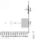 Fig. 45 - Artificial cell death polypeptide for chimeric antigen receptor and uses thereof