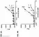 Fig. 07 - MULTIMERIC GITR BINDING MOLECULES AND USES THEREOF