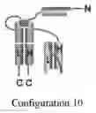 Fig. 13 - Compositions and methods related to tumor activated antibodies targeting PSMA and effector cell antigens