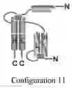 Fig. 14 - Compositions and methods related to tumor activated antibodies targeting PSMA and effector cell antigens