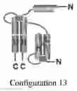 Fig. 16 - Compositions and methods related to tumor activated antibodies targeting PSMA and effector cell antigens