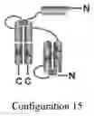 Fig. 18 - Compositions and methods related to tumor activated antibodies targeting PSMA and effector cell antigens