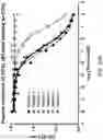 Fig. 30 - Compositions and methods related to tumor activated antibodies targeting PSMA and effector cell antigens