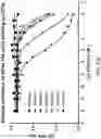 Fig. 31 - Compositions and methods related to tumor activated antibodies targeting PSMA and effector cell antigens