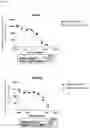 Fig. 17 - ANTI-IgE ANTIBODIES