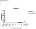 Fig. 20 - ANTI-IgE ANTIBODIES
