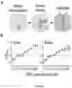 Fig. 05 - CHEMICALLY INDUCED PROTEIN DIMERIZATION SYSTEMS