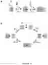 Fig. 13 - CHEMICALLY INDUCED PROTEIN DIMERIZATION SYSTEMS