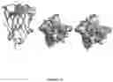 Fig. 15 - CHEMICALLY INDUCED PROTEIN DIMERIZATION SYSTEMS