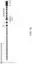 Fig. 02 - MICE THAT MAKE VL BINDING PROTEINS