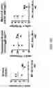 Fig. 12 - MICE THAT MAKE VL BINDING PROTEINS