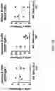 Fig. 14 - MICE THAT MAKE VL BINDING PROTEINS