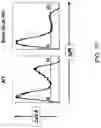 Fig. 18 - MICE THAT MAKE VL BINDING PROTEINS