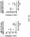 Fig. 19 - MICE THAT MAKE VL BINDING PROTEINS