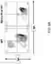 Fig. 20 - MICE THAT MAKE VL BINDING PROTEINS