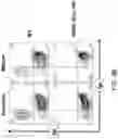 Fig. 21 - MICE THAT MAKE VL BINDING PROTEINS