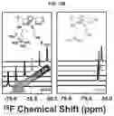 Fig. 23 - HIGH PERFORMANCE SELF-HEALING POLYMER GEL ELECTROLYTE CONTAINING IONIC SIDE BRANCHES