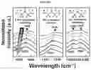 Fig. 24 - HIGH PERFORMANCE SELF-HEALING POLYMER GEL ELECTROLYTE CONTAINING IONIC SIDE BRANCHES