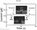 Fig. 31 - HIGH PERFORMANCE SELF-HEALING POLYMER GEL ELECTROLYTE CONTAINING IONIC SIDE BRANCHES