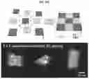 Fig. 43 - HIGH PERFORMANCE SELF-HEALING POLYMER GEL ELECTROLYTE CONTAINING IONIC SIDE BRANCHES