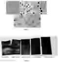 Fig. 03 - WATERBORNE POLYURETHANE DISPERSION AND METHOD FOR PREPARING THE SAME