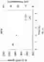 Fig. 05 - END-GROUP ISOMERIZATION OF POLY(ALKYLENE CARBONATE) POLYMERS