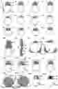 Fig. 01 - NON-CORE SHELL POLYMER PARTICLES