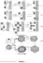 Fig. 03 - NON-CORE SHELL POLYMER PARTICLES
