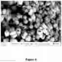 Fig. 05 - NON-CORE SHELL POLYMER PARTICLES