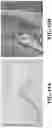 Fig. 29 - Method of fabricating patterned cellulose nanocrystal composite nanofibers and nano thin films and their applications
