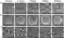 Fig. 01 - Graphene composite matrices and uses thereof